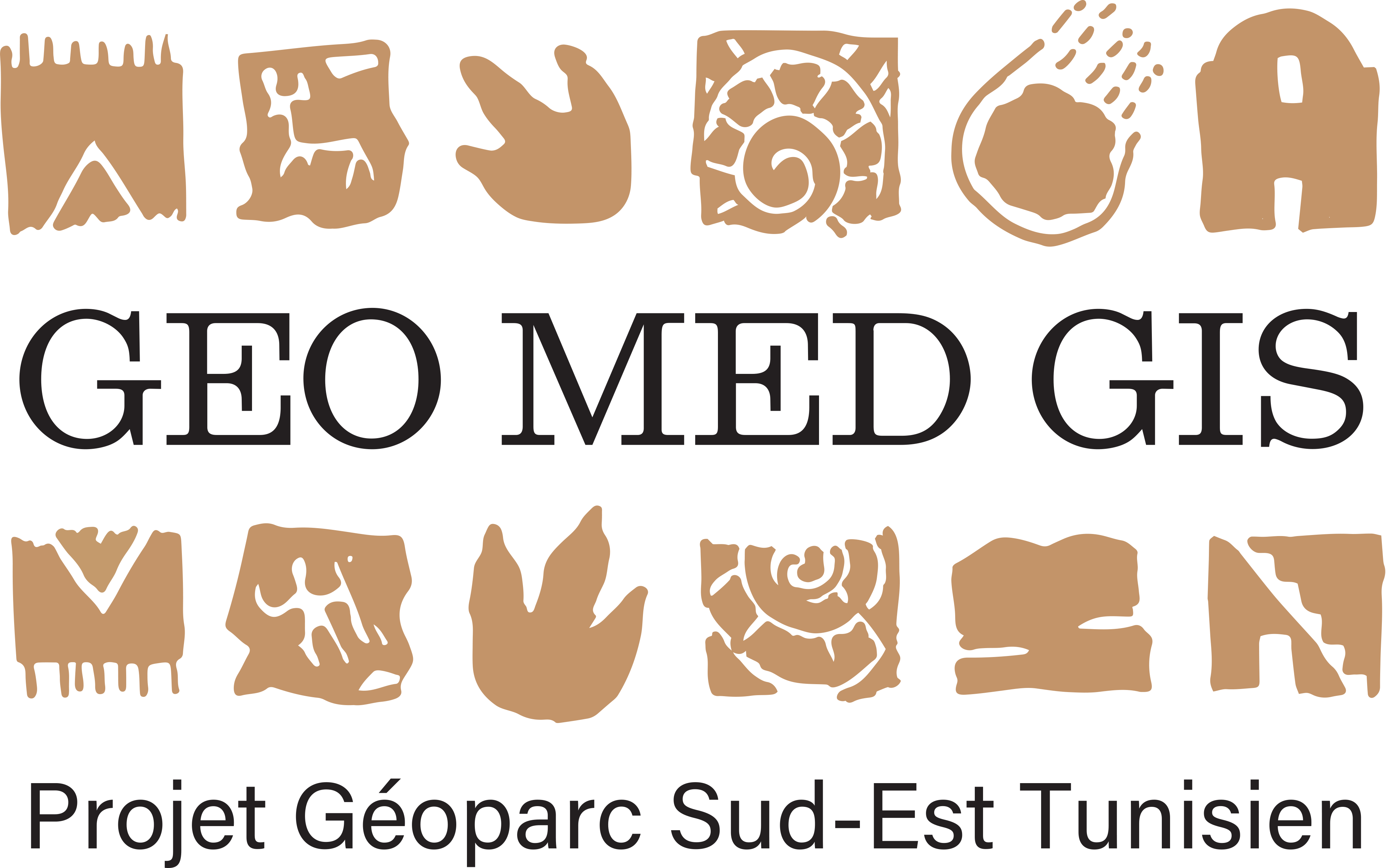 logo GEO MED GIS projet