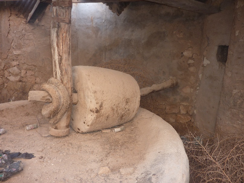 Huilerie Lamloum à Tamezret