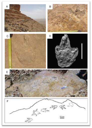 Jebel Boulouha (empreintes)