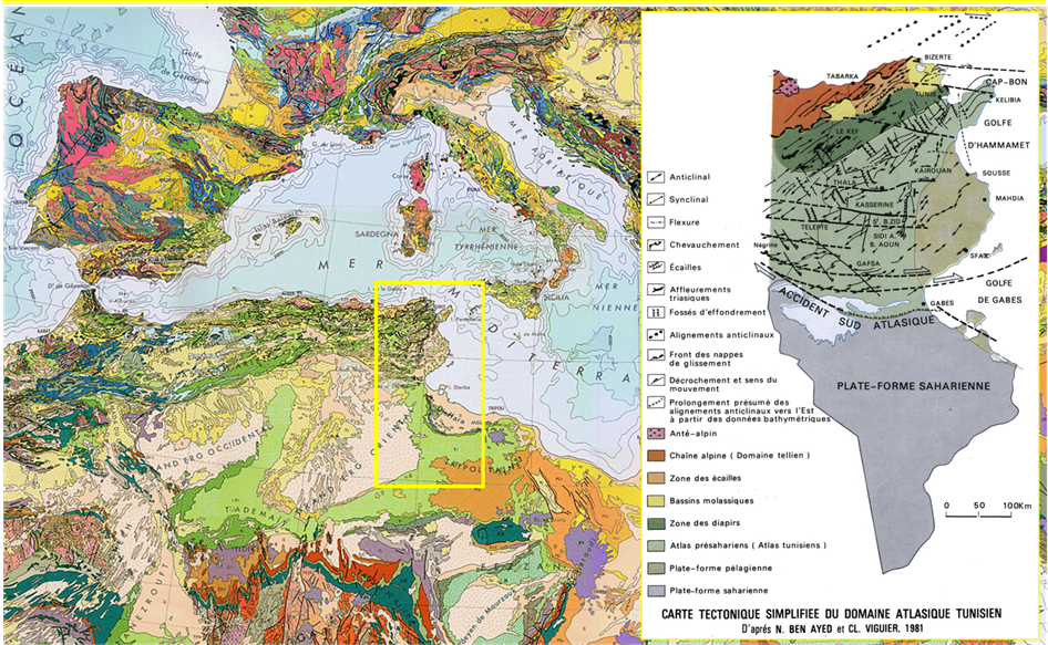 Figure 1- Position de la Tunisie et répartition des domaines morpho-structuraux